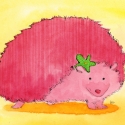 hedghog002